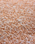 Ombre Peach 130GM HAND COLOURED