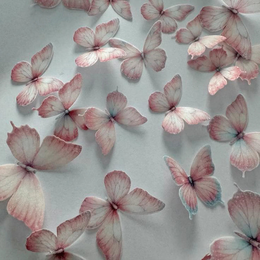WAFER BUTTERFLIES & DECORATIONS