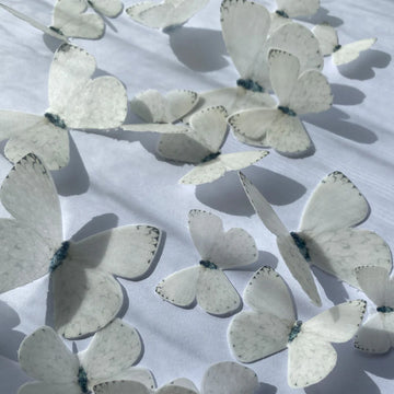 White Pre-cut Edible Wafer Butterflies image 1