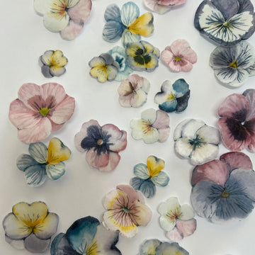 Multi-coloured Pre-cut Edible Wafer Pansies image 1