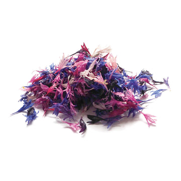 Dried Organic Edible Cornflower image 1