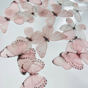 Wafer Paper Butterflies Pretty In Pink 24 PreCut Edible image 2