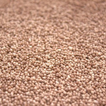 Chocolate Ombre 130GM HAND COLOURED