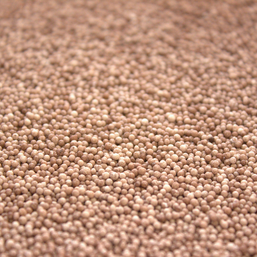 Chocolate Ombre 130GM HAND COLOURED